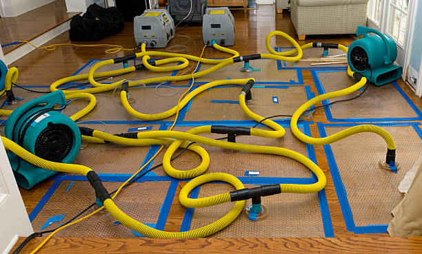 Professional Crawl Space Water Removal technician working in Rarden, OH
